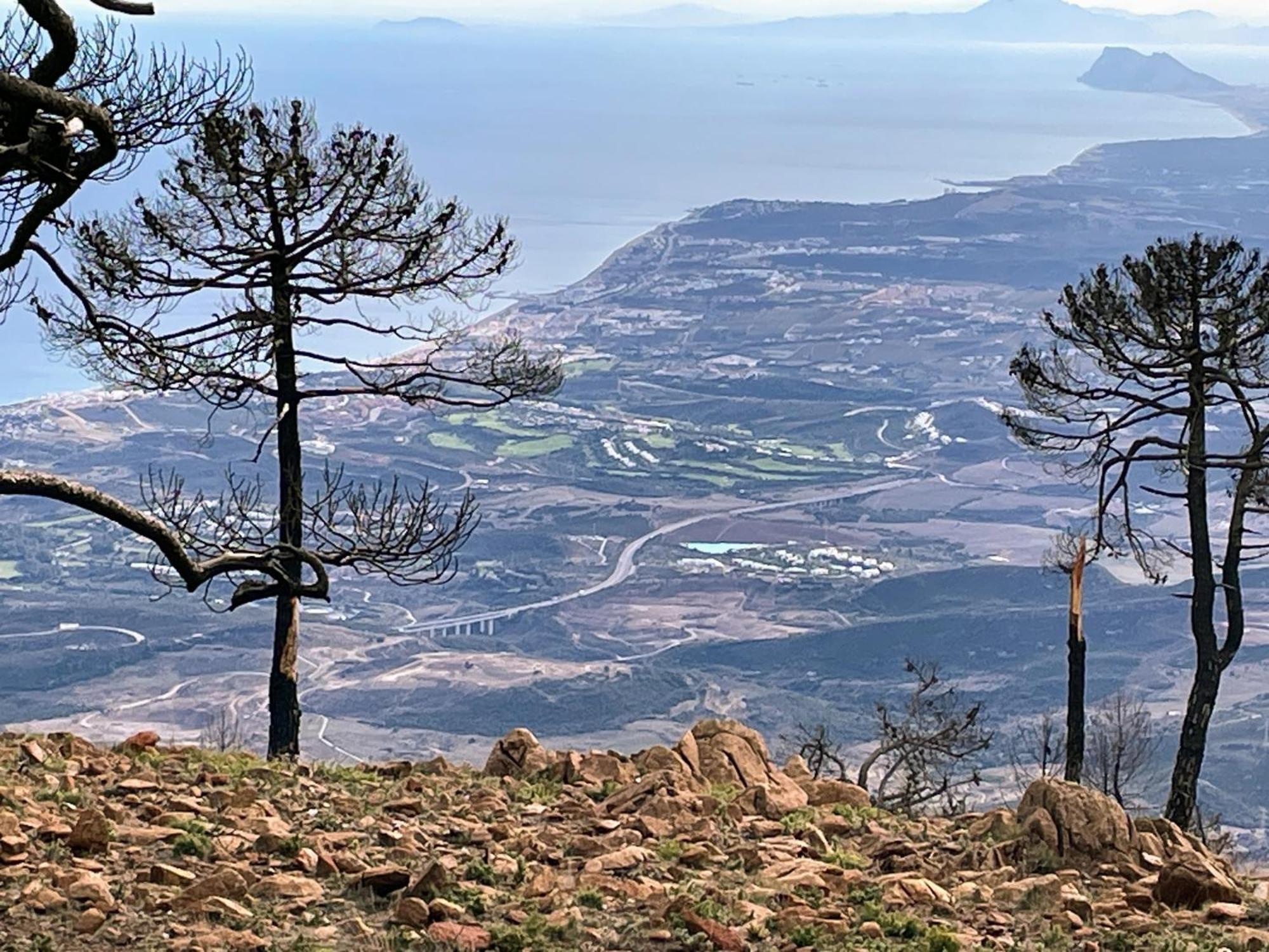 Superior Apartment For Golf, Sea And Nature Lovers Casares Esterno foto